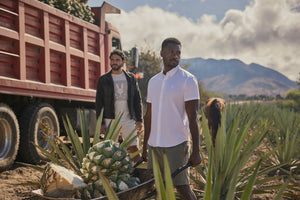 Elevate Your Look: Discover Psycho Bunny's Stylish Shirt Collection