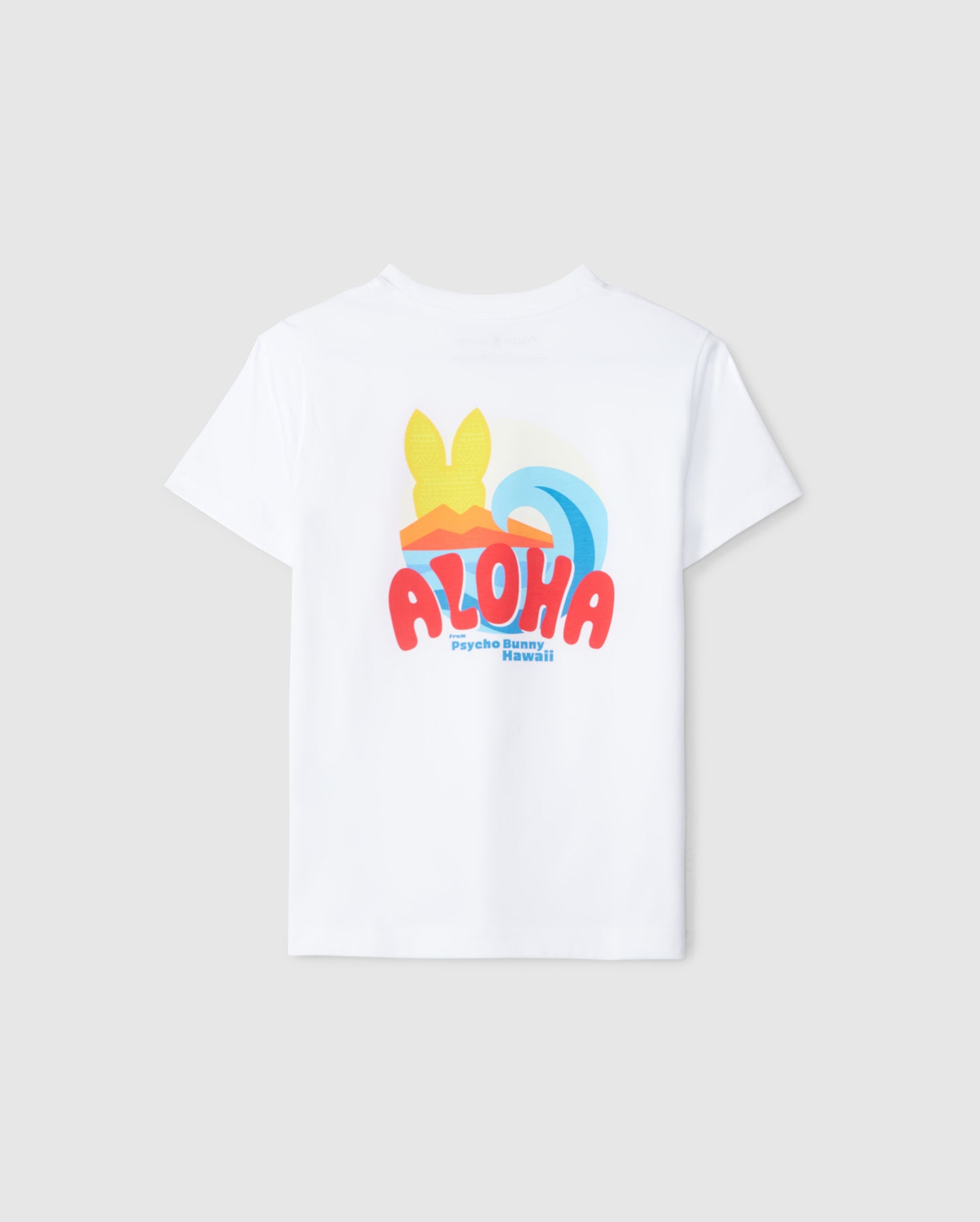flat back view of kids pima cotton hawaii city tee