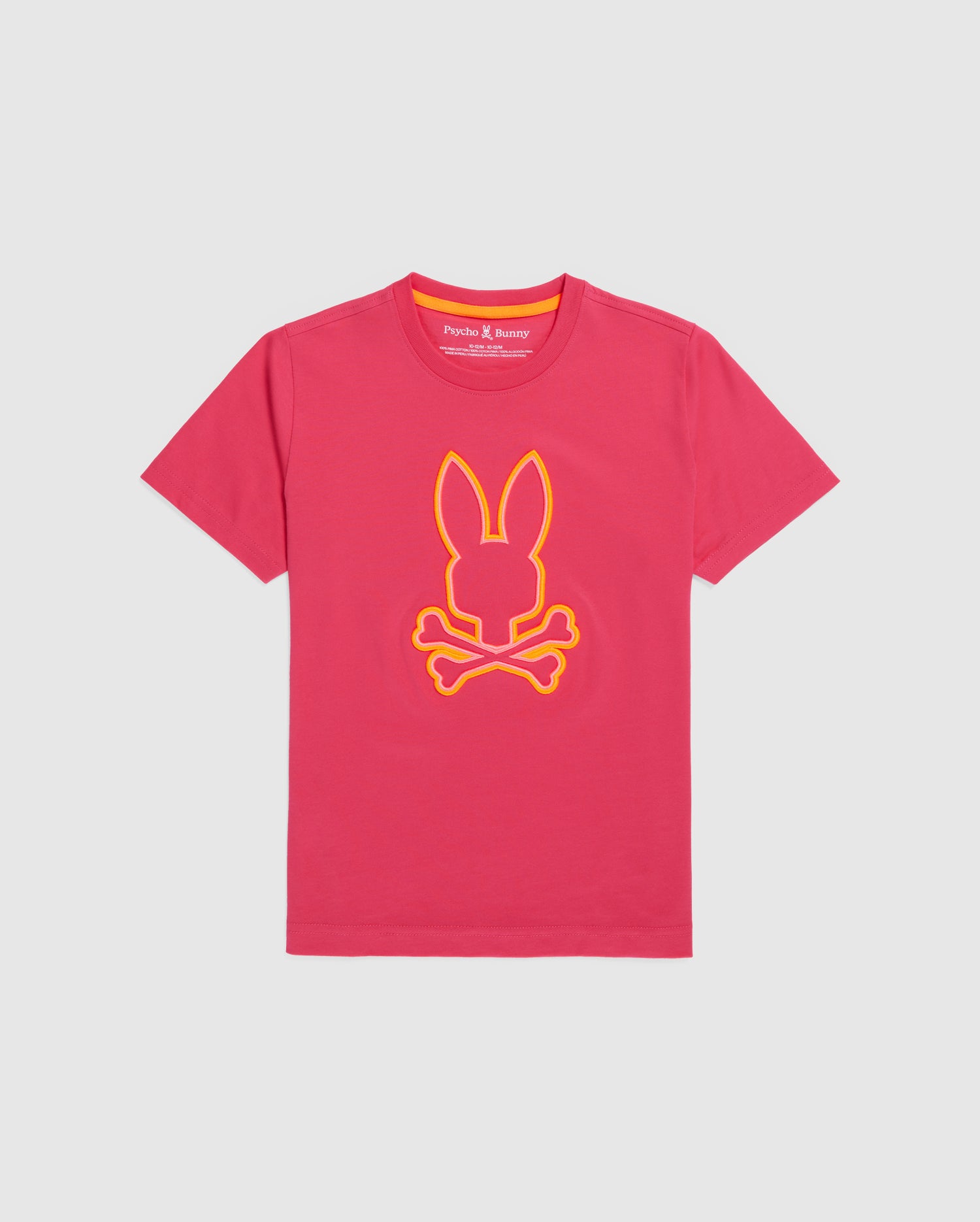 KIDS SANTA MONICA EMBROIDERED GRAPHIC TEE - B0U842A2PC