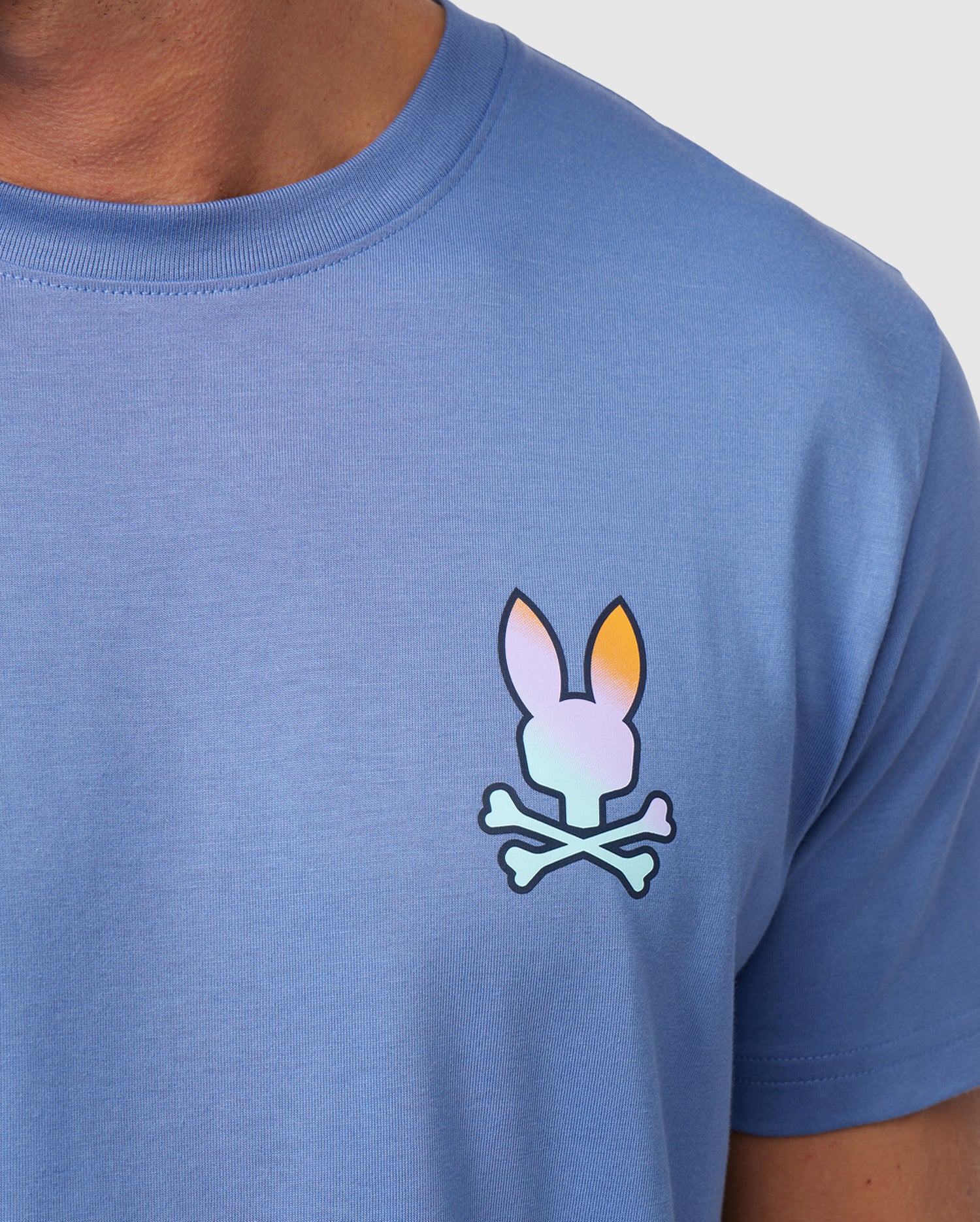 MENS LIGHT BLUE PALM SPRINGS BACK GRAPHIC TEE | PSYCHO BUNNY – Psycho Bunny